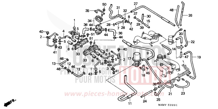 ROHRE (1) von Gold Wing PEARL CORONADO BLUE (PB255H) von 2000